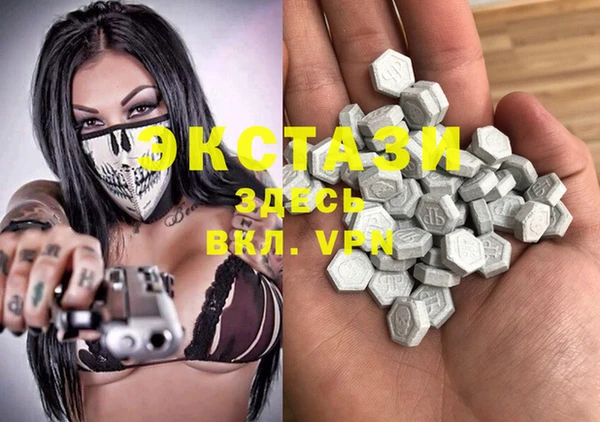 индика Сясьстрой