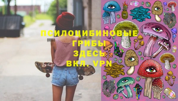 метамфетамин Богданович