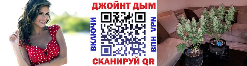 Бошки Шишки ГИДРОПОН Гусев
