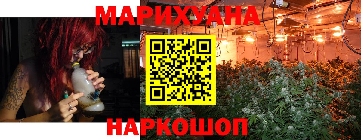 Канабис планчик  Бошки марихуана THC 21%  Гусев  Вход с VPN 